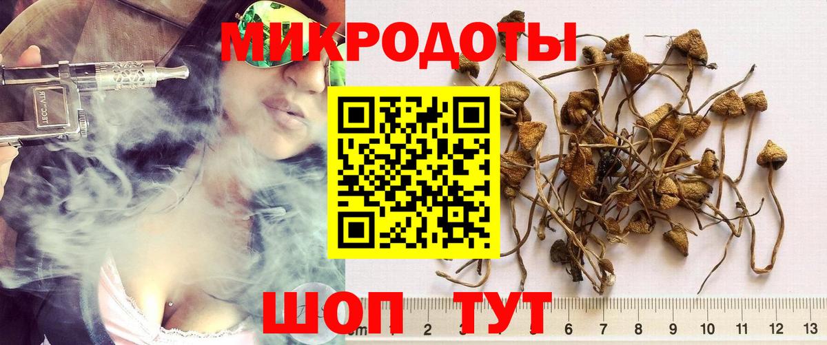 Псилоцибиновые грибы ЛСД Белогорск